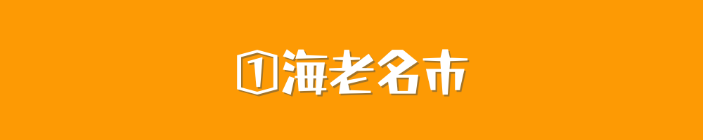海老名市